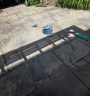 algae-removal-driveway-cowbridge-violet
