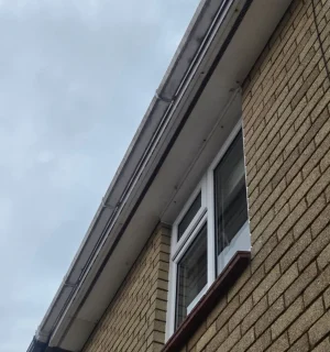 gutter-clearing-cardiff-bloom