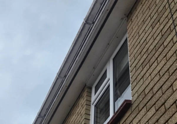 gutter-clearing-cardiff-bloom
